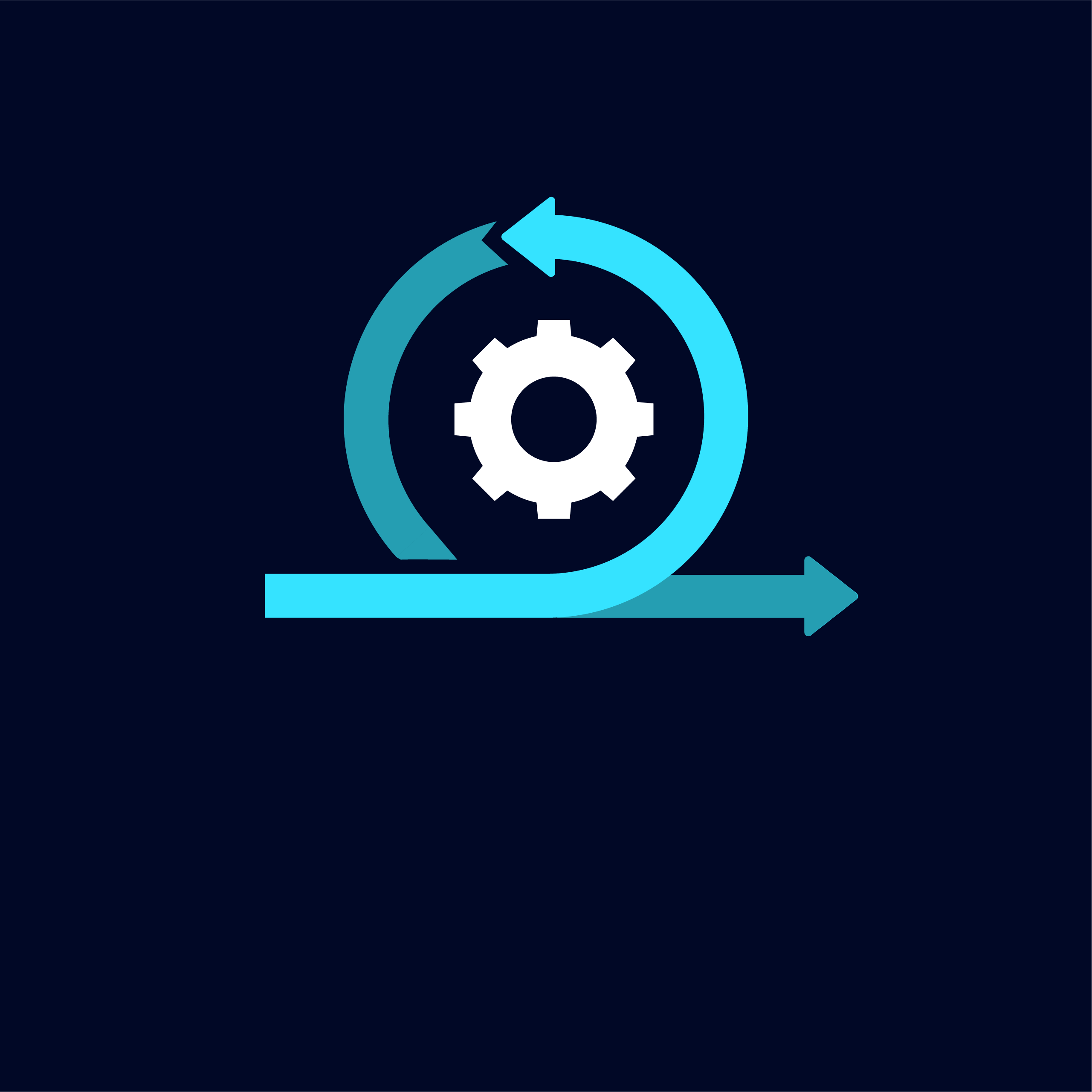  Digital Asset Optimization