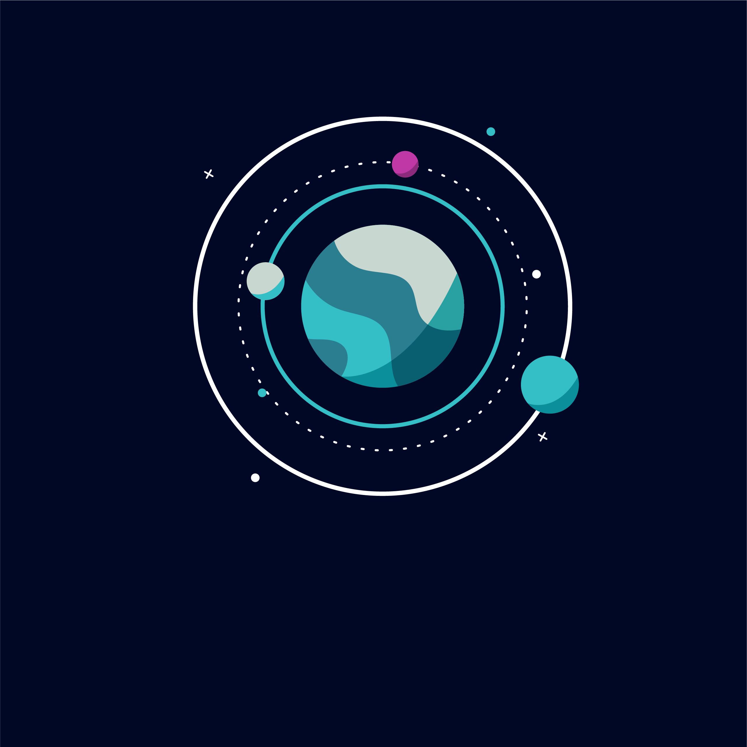  Website Developer