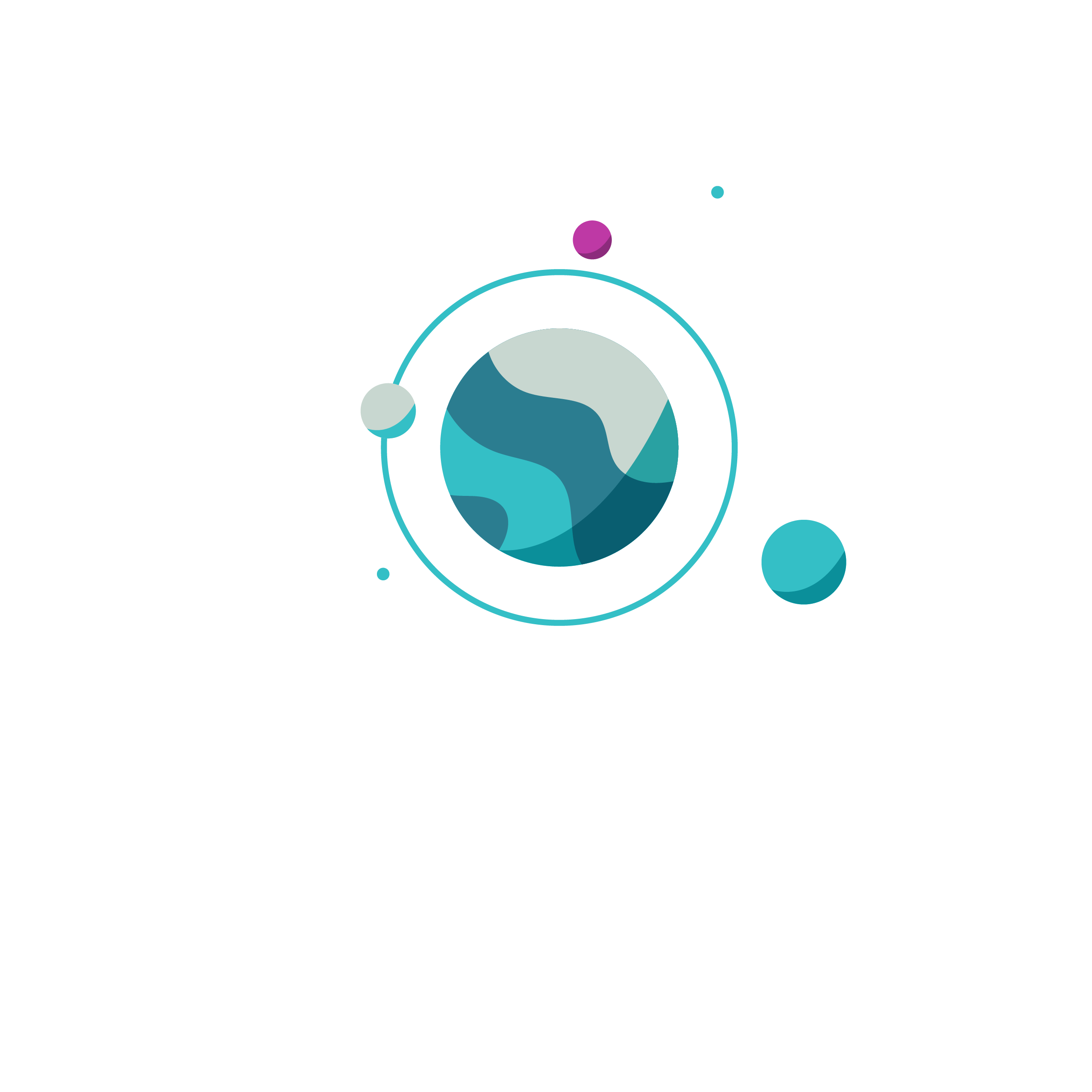  Website Developer